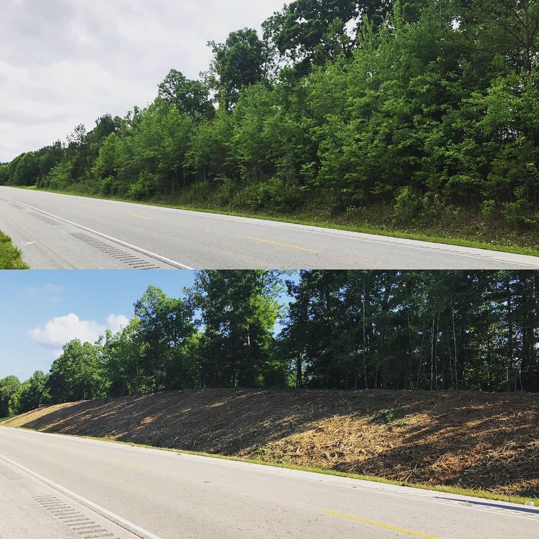 Before / After — Roadside Clearing