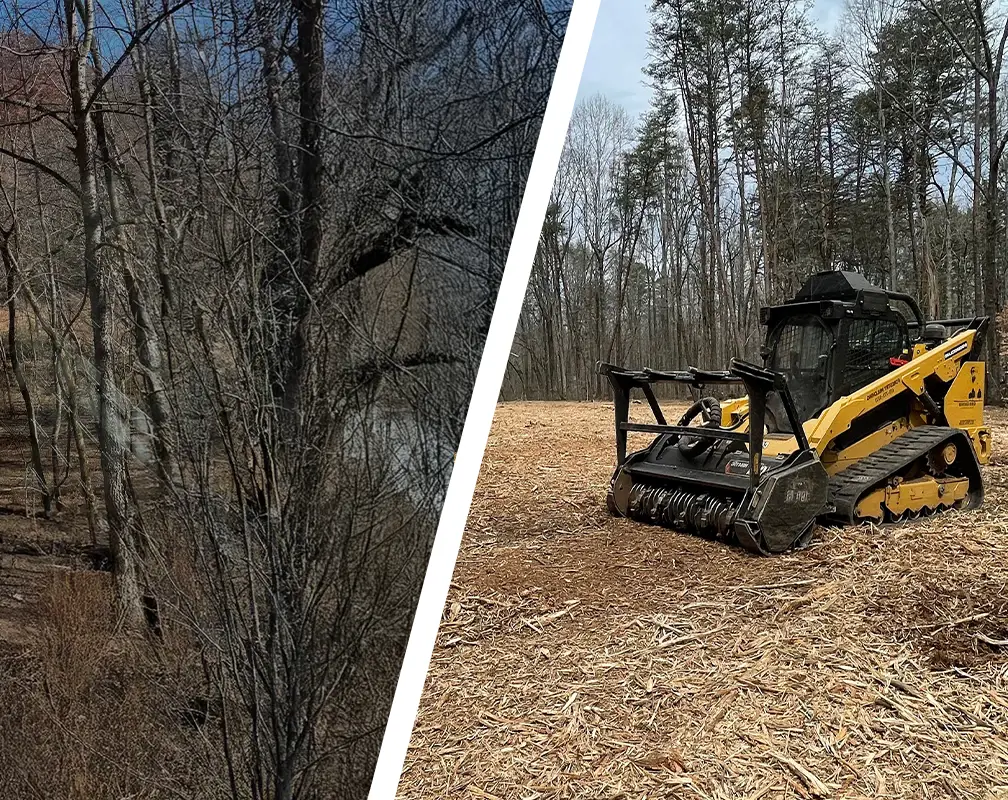 Before / After — Mulching Project